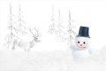 Noël blanc